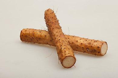 《全面尸控》联动《生化危机》新角色上线